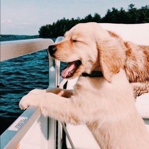 Meet your Posher, Sabren